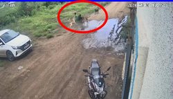 घर के बाहर टहल रहे बच्चे पर कुत्तों की गैंग ने किया हमला, कमजोर दिल वाले न देखें वीडियो