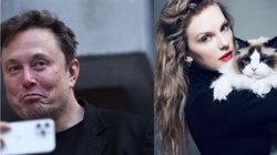 ‘मैं तुम्हें बच्चा भी दूंगा और तुम्हारी बिल्लियों को…’ टेलर स्विफ्ट ने कमला हैरिस का किया समर्थन तो एलन मस्क ने कही शर्मनाक बात
