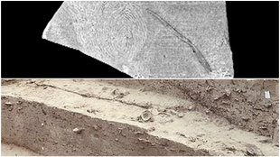 ASI, Excavation, Palwal