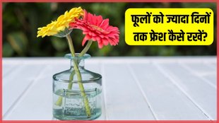 How do you keep flowers fresh longer । Home Gardening । Does sugar keep flowers fresh