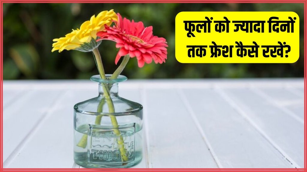 How do you keep flowers fresh longer । Home Gardening । Does sugar keep flowers fresh