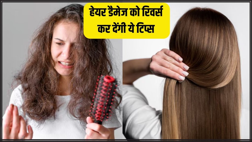 Hair Care । Hair Care Tips । How to reverse Hair Damage