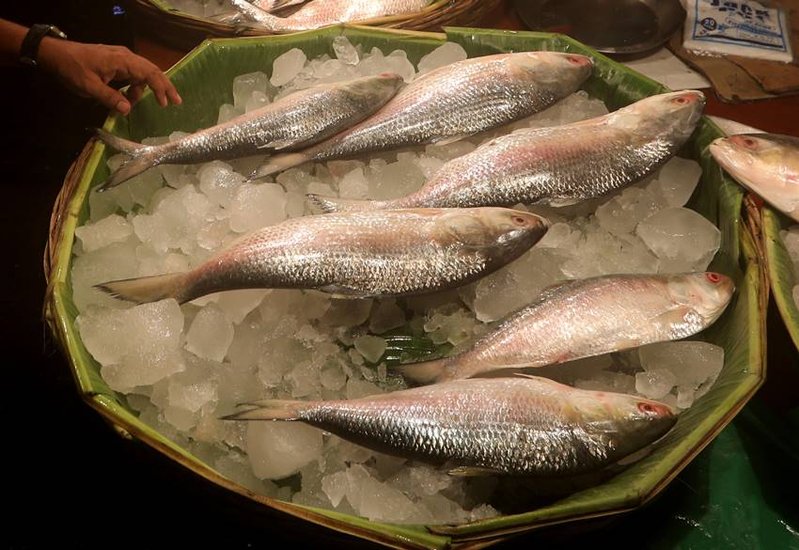 Bangladesh National Fish Name