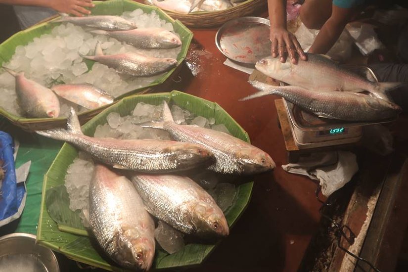Ilish Fish in Durga Puja