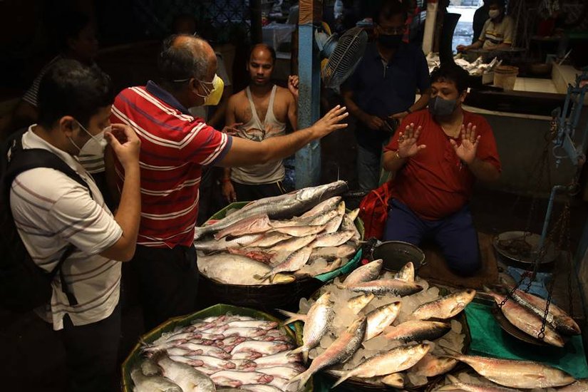 Importance of Ilish Fish