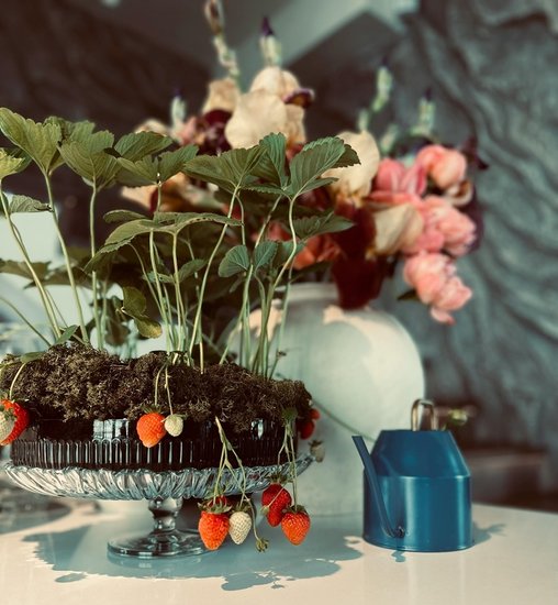 How-to-care-for-strawberry-plants