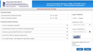 IBPS, IBPS RRB Clerk Mains Admit Card,