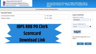 IBPS Result 2024, IBPS RRB PO Clerk, IBPS Clerk Result 2024,