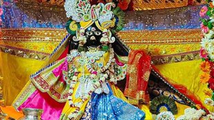 Vrindavan Darshan, Brij Raj, significnace of brig raj, brij raj ghar laye ki nahi, Govardhan Darshan, Govardhan Darshan time, significance of Govardhan Darvat, Govardhan parvat, Govardhan Paikrama ke darshan