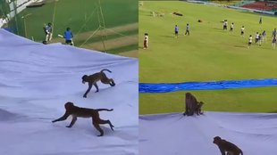 Kanpur Stadium, Ind vs Ban, Ban vs Ind