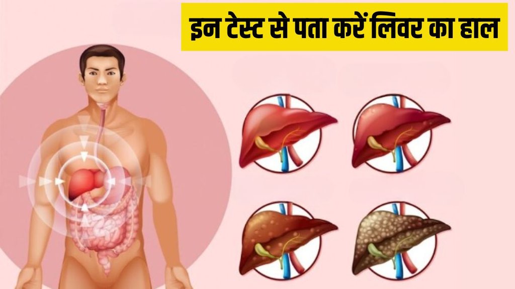 Liver । Liver Test । Liver Health । Liver test at home