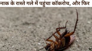 cockroach in nose, chinese man inhales cockroach