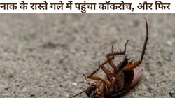 सोते समय शख्स के नाक में घुस गया कॉकरोच, CT Scan रिपोर्ट देख उड़े होश, 4 दिन बाद…