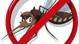 Dengue mosquito prevention at home