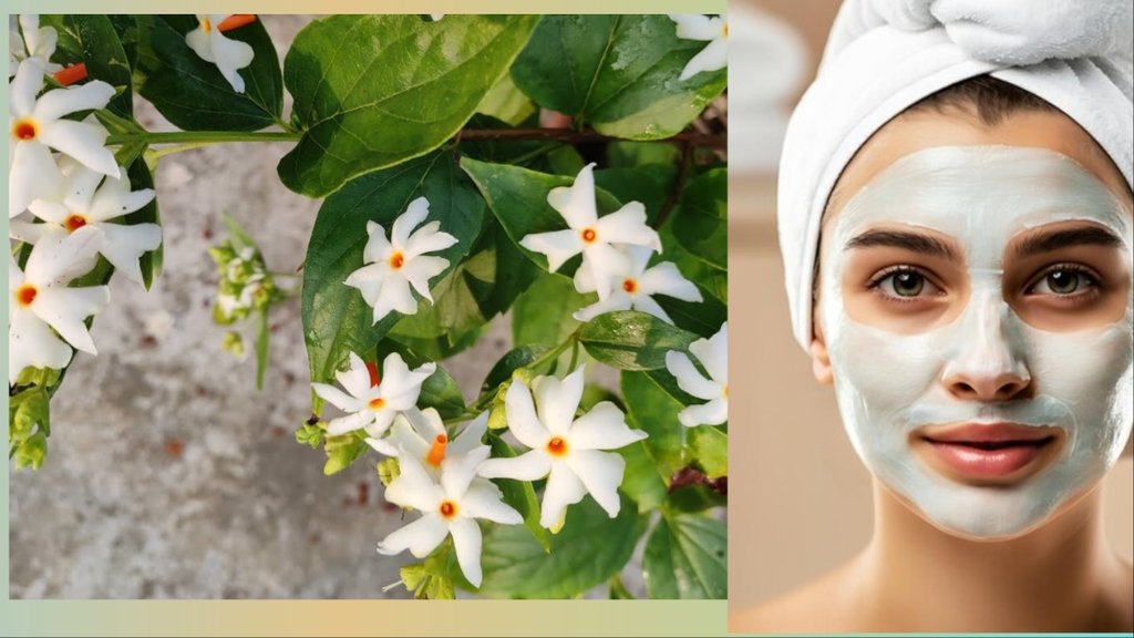 harsingar flower face pack recipe benefits in hindi