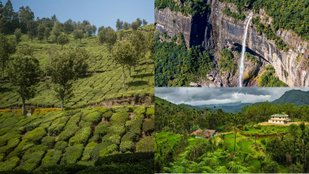 Nature destinations in India during monsoon