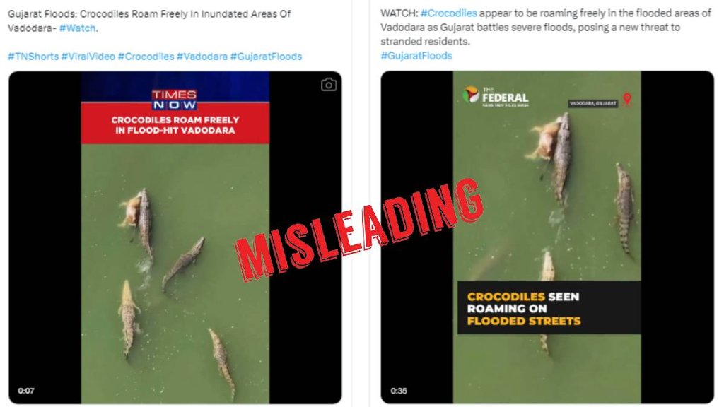 Misleading claim about crocodiles roaming in Vadodara, Gujarat