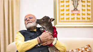 PM Narendra Modi, Trending Video, Viral Video, PM Modi with Cow