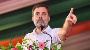Rahul Gandhi on Mob Lynching | Congress | BJP | Haryana News | Haryan Mob lynching