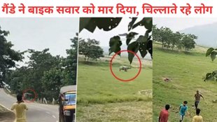 Assam rhino attack, Rhino attack
