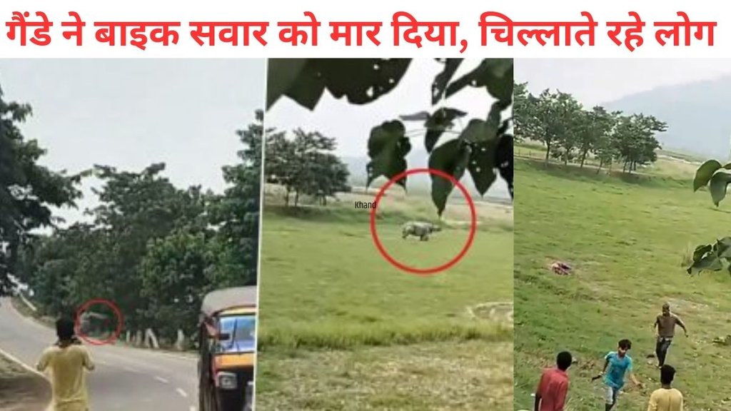 Assam rhino attack, Rhino attack