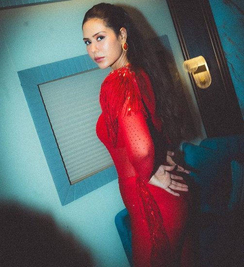 Sonam Bajwa Party Dress