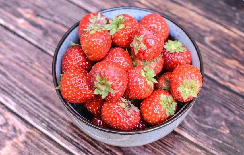 Strawberry-cultivation-tips