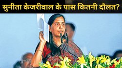 Sunita Kejriwal Net Worth: सुनीता केजरीवाल के पास कितनी धन-दौलत? जानें सोना-चांदी व प्रॉपर्टी की डिटेल, इतनी है दिल्ली के सीएम AK की नेट वर्थ