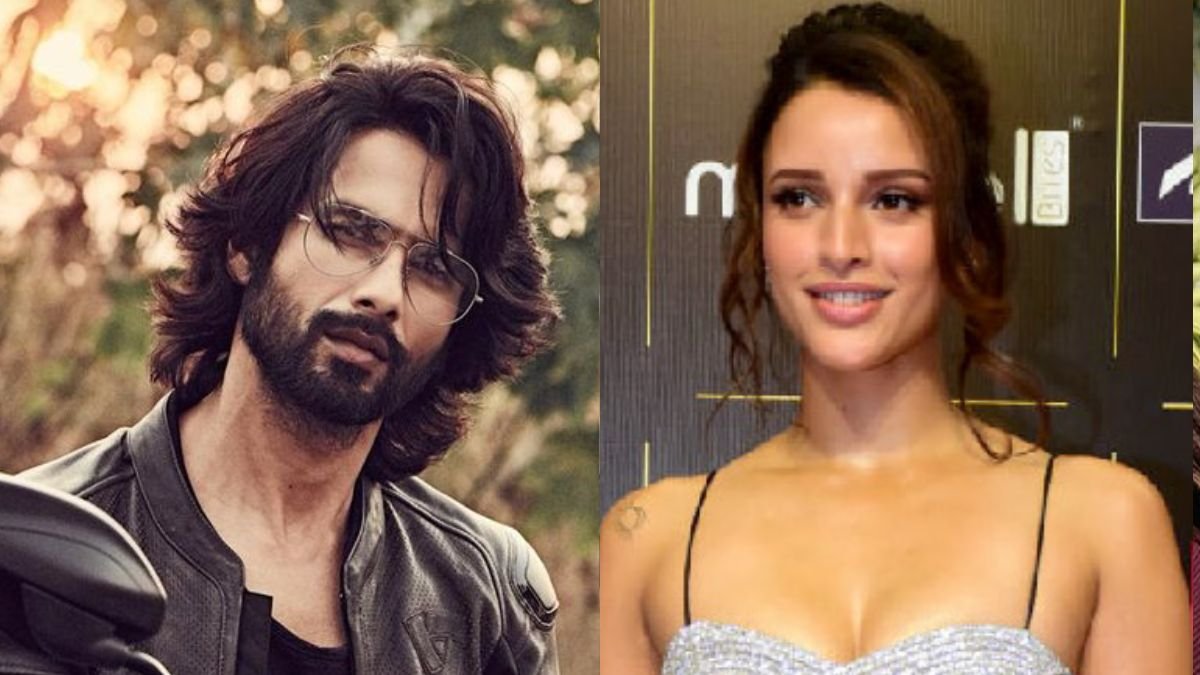 Tripti dimri, Shahid kapoor