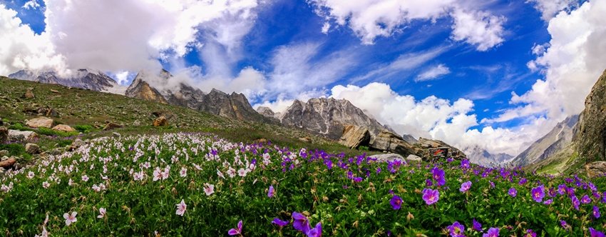 Valley of Flowers