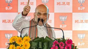 amit shah, harayana elections, harayana elections rally,