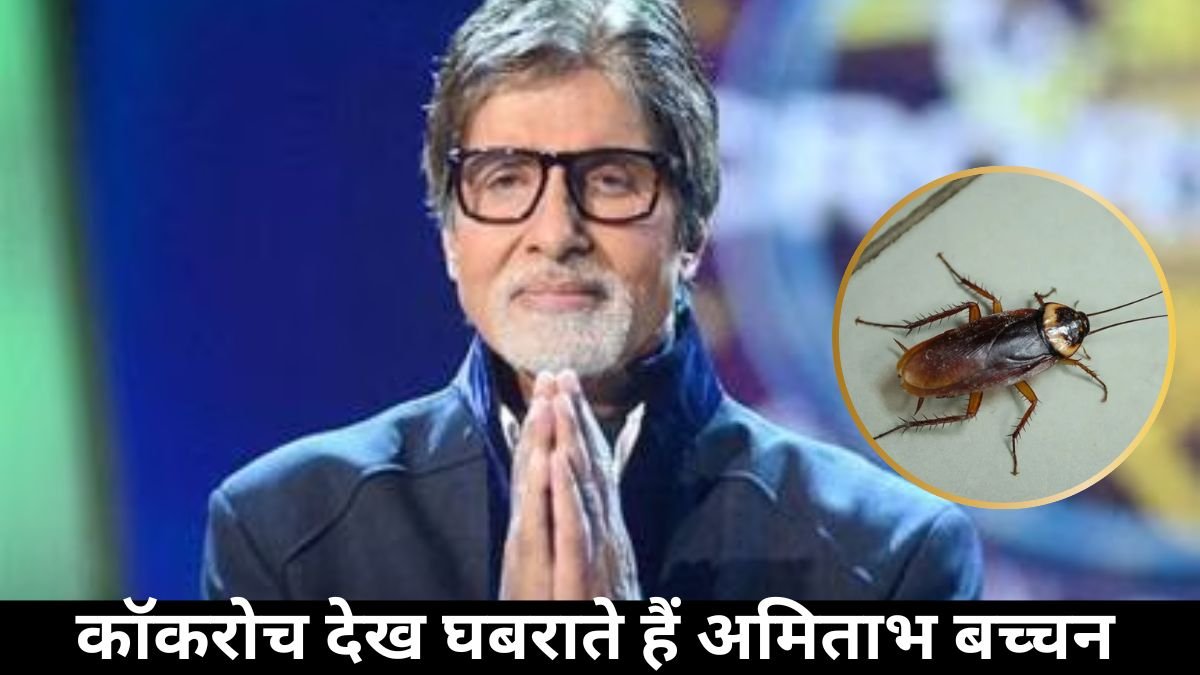Amitabh bachchan, kbc 16
