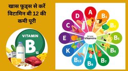 बॉडी के लिए मैजिक न्यूट्रीएंट है Vitamin B 12, कमी होने पर शरीर में दिखते हैं ये 10 लक्षण, इन 3 वेजीटेरियन फूड्स से करें इसकी भरपाई