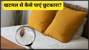 bed bugs । bed bugs Remedies । how to get rid of bed bugs
