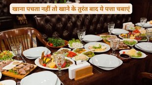 betel leaves benefits,betel leaves for improve neurological problems,Incredible Benefits Of Betel Leaf, sadhguru tips for bowel movement,betel leaves benefits,