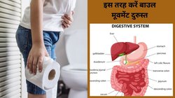 गट हेल्थ को दुरुस्त करना चाहते हैं तो इन 7 चीजों पर करें फोकस, घंटों टॉयलेट में बैठने से मिलेगी मुक्ति, सुधर जाएगा बाउल मूवमेंट