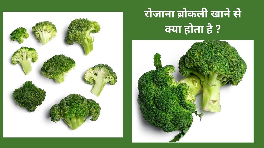 broccoli,Broccoli Benefits For Health,lifestyle,how to eat broccoli,how to add broccoli to your diet,ways to eat broccoli,ways to add broccoli to your diet,broccoli benefits,