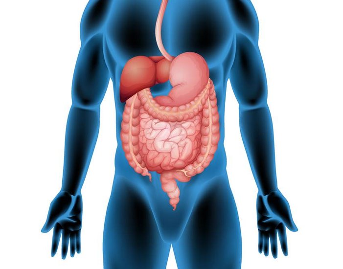 cardamom Health Benefits