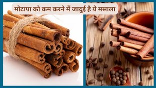 cinnamon water benefits hindi, cinnamon in hindi, cinnamon meaning, cinnamon powder, cinnamon benefits, cinnamon, cinnamon meaning in hindi, cinnamon tea, cardamom, cinnamon health benefits,