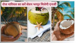 क्या रोजाना नारियल खाना ठीक है? जानिए Coconut खाने से बॉडी कैसे करती है रिएक्ट