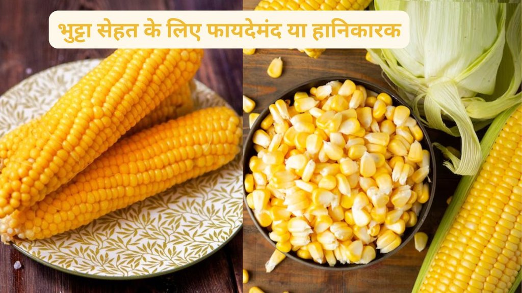 Benefits of eating corn, what is the effect of eating corn daily on health, what are the benefits of corn to the body, corn flour, sweet corn,weet Corn,Sweet Corn benefits,Sweet Corn benefits hindi
