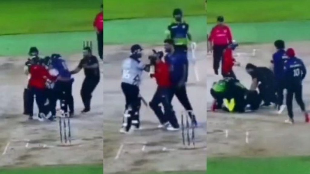 cricket fight