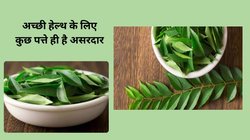 Nutritional Values: रोजाना 10 करी पत्तों को खाली पेट चबा लें, बॉडी को मिलेगी अद्भुत शक्ति, इस तरह करें सेवन