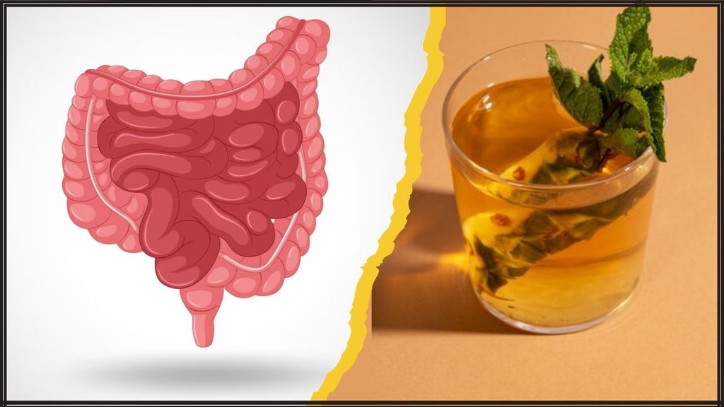 Digestion । Best Drink For Digestion । Gut Health