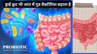 Nut for Gut Health, wallNut for Gut Health, how wallnut increase good bacteria at intestine, how to improve gut health,
