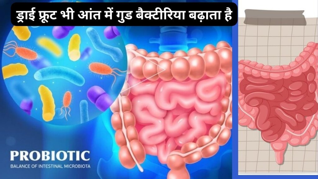 Nut for Gut Health, wallNut for Gut Health, how wallnut increase good bacteria at intestine, how to improve gut health,
