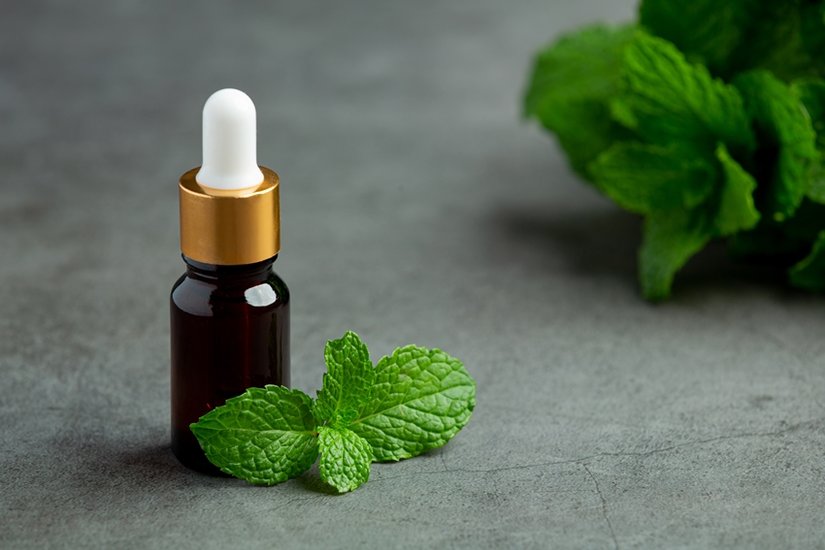 Essential oil of peppermint in bottle with fresh green peppermin