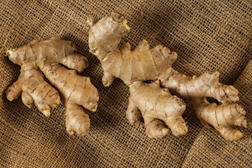 Ginger dosage