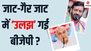 Haryana Elections | Jats Decide Candidates Fate | bjp congress