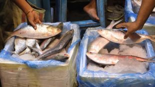 hilsa export, bangladesh durga puja, bangladesh exports,